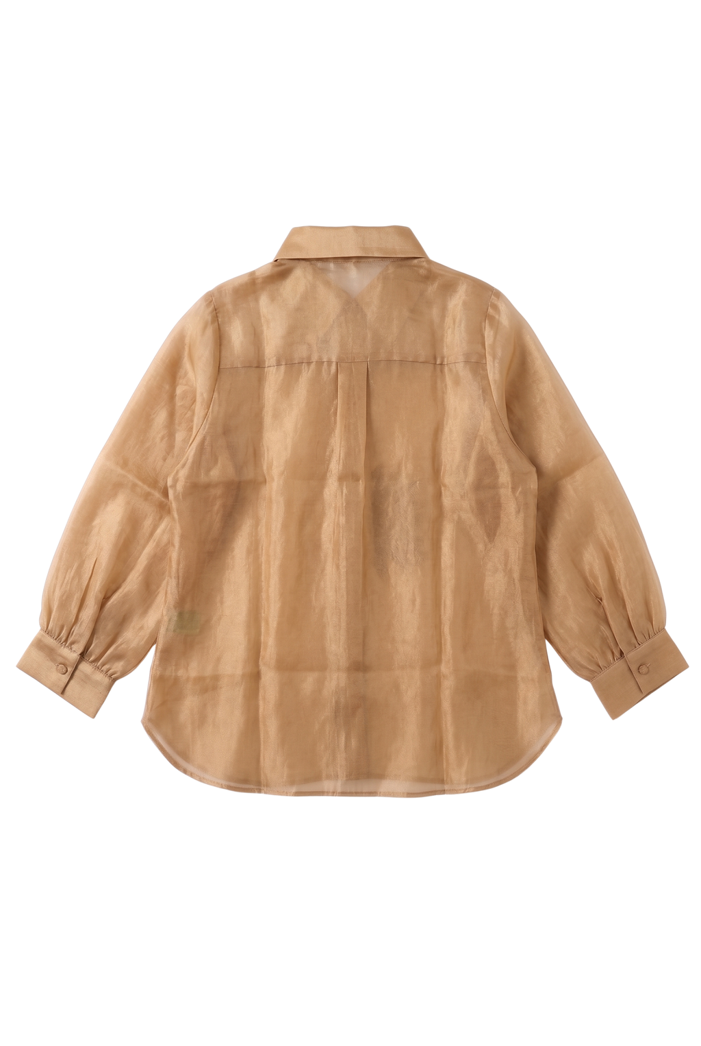 The Champagne Beige Sunflower Pure Organza Shirt